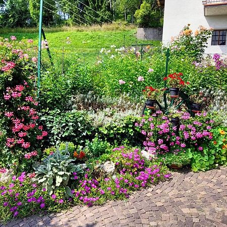 La Cesura Bed & Breakfast Карано Екстериор снимка